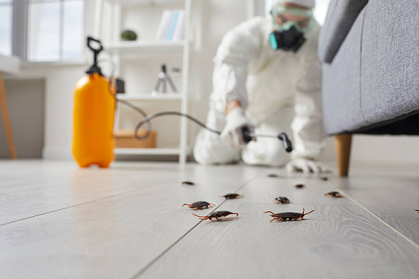 Commercial Rodent Management in Ridgeland